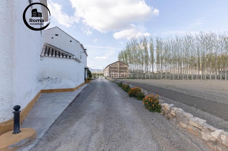 Foto f0054b54-c7db-461b-8c84-2bb8647a0187. Masía en diseminada oprtunidad para crear tu propio espacio en Pinos Puente