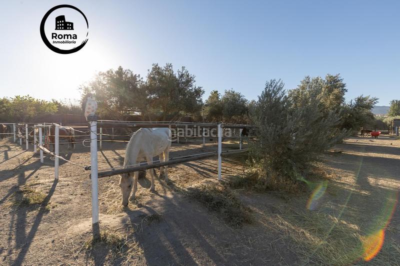 Foto bda04e04-2a21-4142-98bf-43a41bc8d4ea. Masía en Cumbres Verdes Zubia (La)