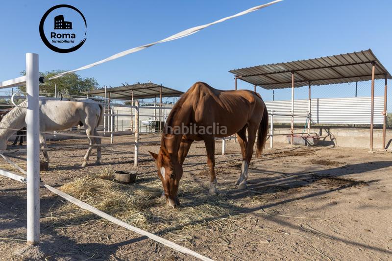 Foto bdfb71a8-dcb9-45c7-b67a-9d1ff71830bd. Masía en Cumbres Verdes Zubia (La)