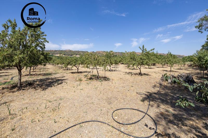 Foto 12b51d0a-ca44-4b34-b8ab-e7e563ace9d3. Finca rústica a Valle del Zalabí