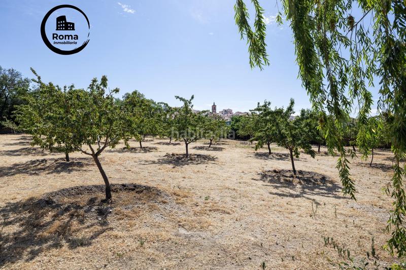 Foto 199dfe8a-0a93-4ba1-91ba-9217bd7fc1bf. Finca rústica a Valle del Zalabí