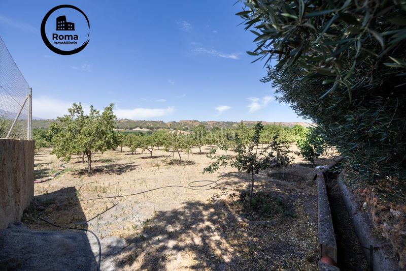 Foto 43b246a6-8971-4289-a310-329b23fe82cb. Finca rústica a Valle del Zalabí