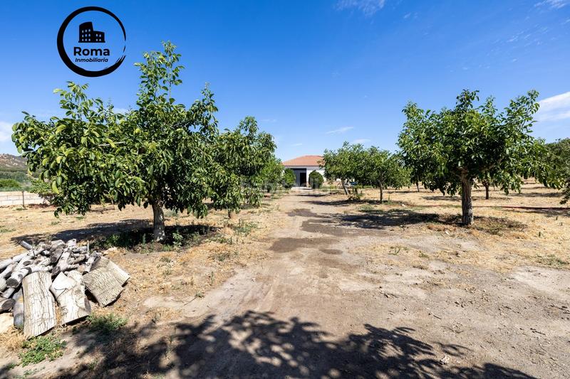 Foto 5a388c66-ebd2-4e4d-9a12-c63f1f771037. Finca rústica a Valle del Zalabí