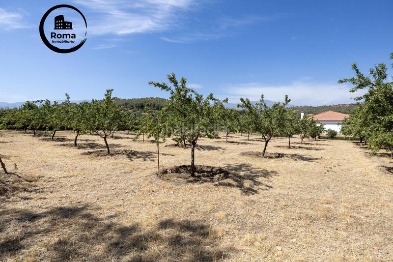 Foto 74d1b0ae-9db1-4b8a-9283-849fa6a96ca9. Finca rústica a Valle del Zalabí