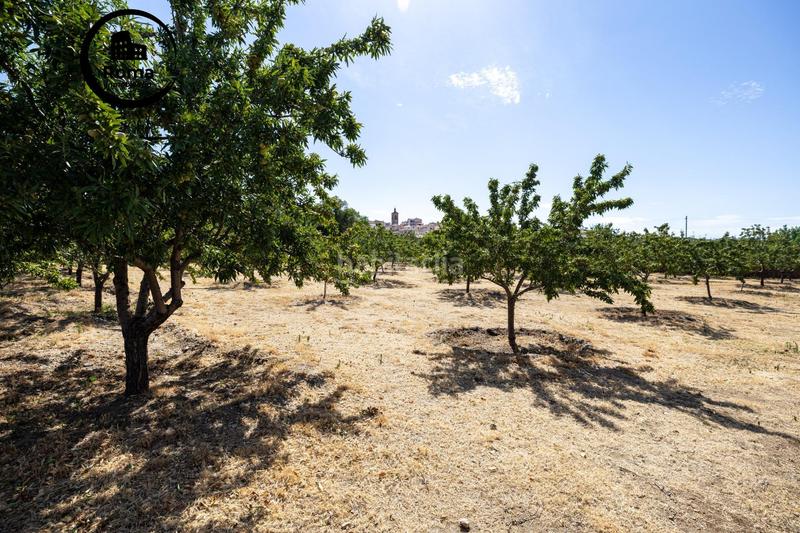 Foto 7859cf92-f8d9-44e2-85a6-f9a7fd3ab9e9. Finca rústica a Valle del Zalabí