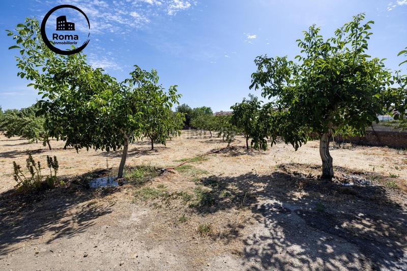 Foto 83793a00-40f8-476b-9c00-e23065d0e375. Finca rústica a Valle del Zalabí