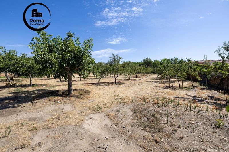 Foto a820fdf1-189c-494b-8fdb-3bab8e7bfb39. Finca rústica a Valle del Zalabí