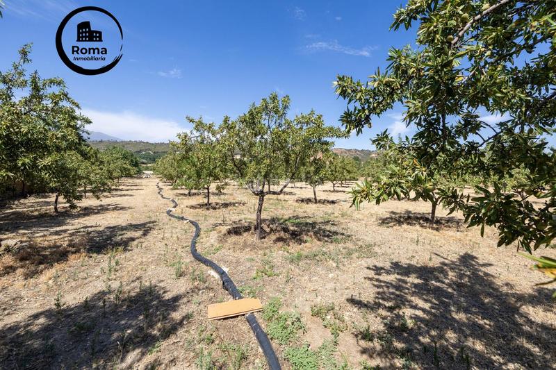 Foto bb9bd1de-3240-4083-b7b1-999414a9a4ed. Finca rústica a Valle del Zalabí