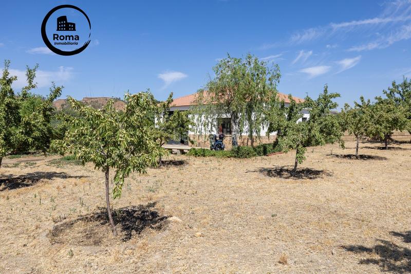 Foto d81d654f-7700-4f6c-b638-26682bf26418. Finca rústica a Valle del Zalabí