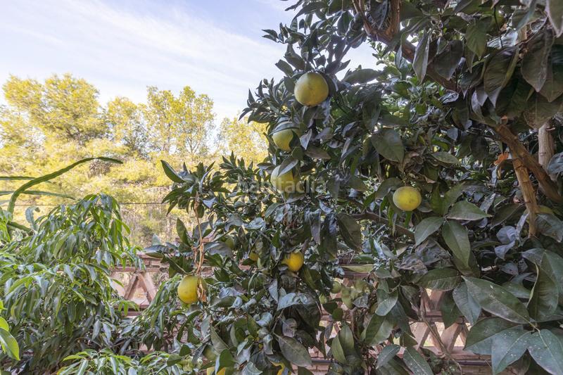 Foto 5bc44ac0-5feb-4ea7-ae2a-1c59a64e079c. Chalet en Cortes-Huertas Madrid