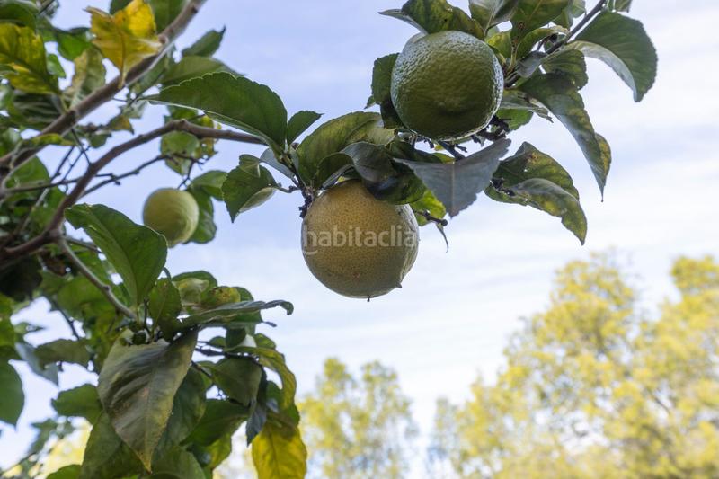 Foto 9eaf29be-724f-4f73-bbfa-76b97f418999. Xalet amb calefacció aparcament piscina a Cortes-Huertas Madrid