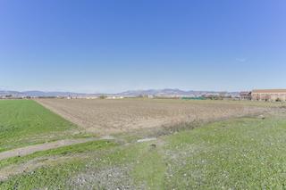 Masa en Cllar Vega. Finca rustica en cllar vega