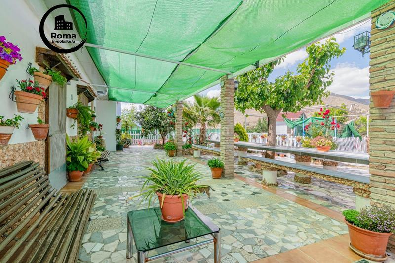 Foto 00e48490-7224-44ff-94cf-e8a7c21736de. Mas dans Pinos Puente