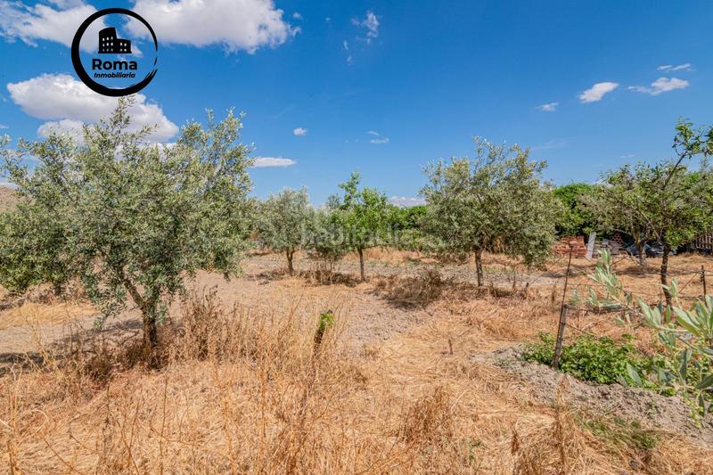 Foto 20c1cec8-278e-4434-9618-52efb4dbdaa0. Mas dans Pinos Puente