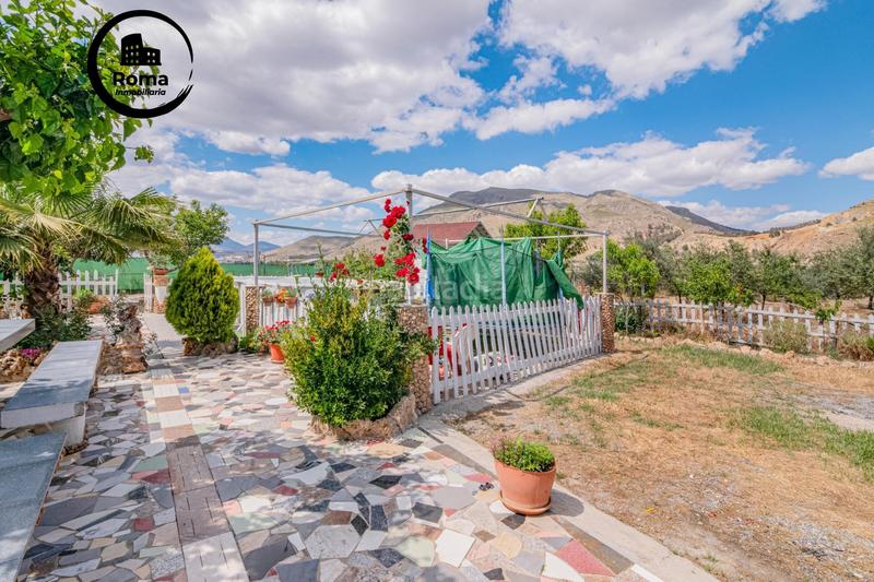 Foto 9c9815bc-00a4-4a1c-aeb6-02f926eb0a7a. Mas dans Pinos Puente