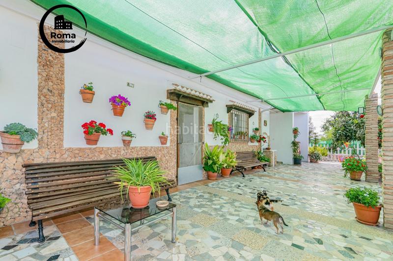 Foto 000eb4cb-22c7-4dc8-b483-4a0e840b2aa1. Mas dans Pinos Puente