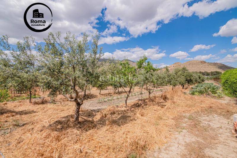 Foto 0563b85b-4808-4bc4-8f28-dfb1072cada3. Mas dans Pinos Puente