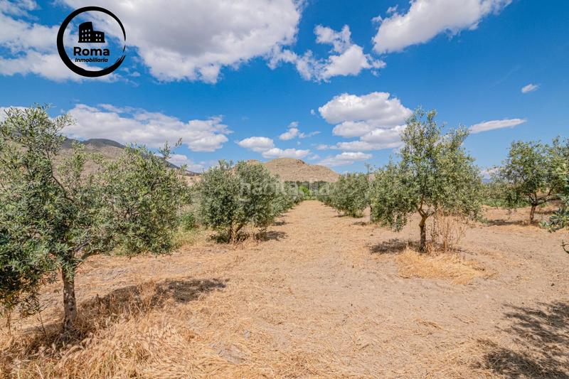 Foto 2dcd136d-33b2-43ae-9175-c740885d4ad1. Mas dans Pinos Puente