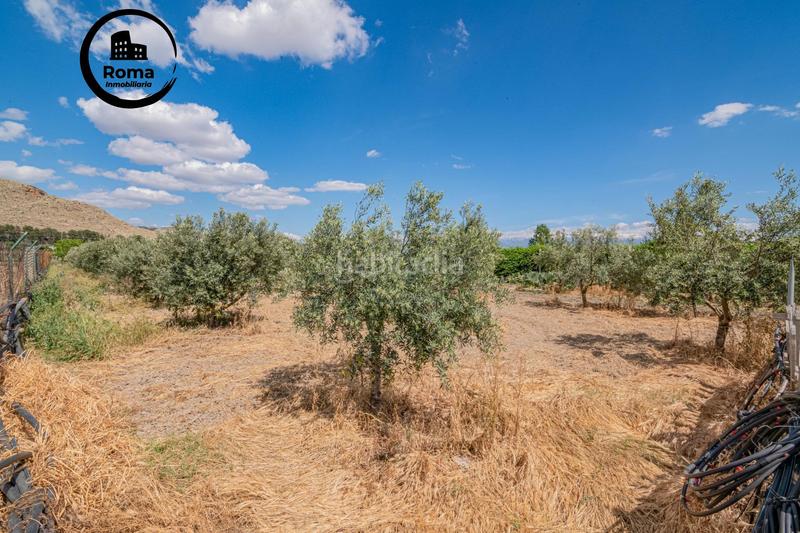 Foto 86ab3b96-0263-4714-8c12-a68212735235. Mas dans Pinos Puente