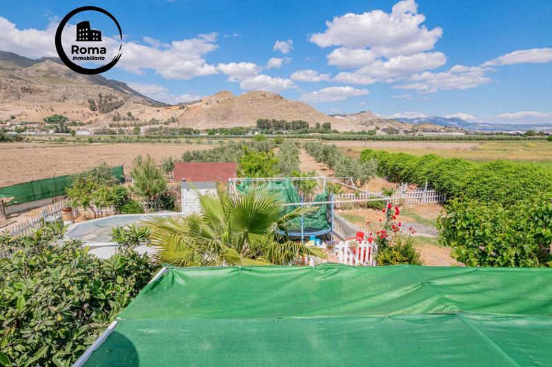 Foto 9677fe0e-1cd4-469a-9c6c-57c303091aea. Mas dans Pinos Puente