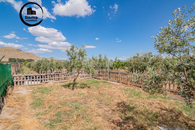 Foto e1cac906-c3d1-4735-bbf8-7177f26f4eb8. Mas dans Pinos Puente