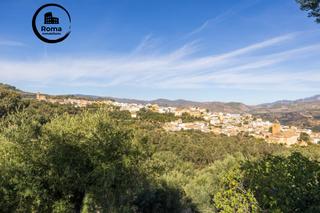 Rural plot in Lecrín. Oportunidad única! dos fincas rústicas de mas de 15.000 m en tot