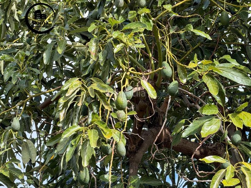 Foto 014b32b1-ecb1-464f-90f3-9ccdc3413fe6. Masia a calle diseminados a Guájares (Los)