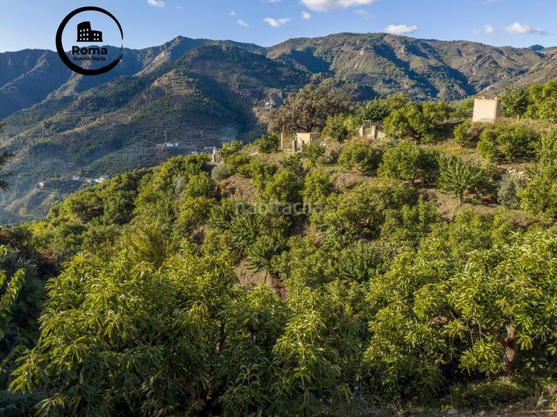 Foto 1f54d001-df0c-4102-b628-9d87ee023d01. Masia a calle diseminados a Guájares (Los)