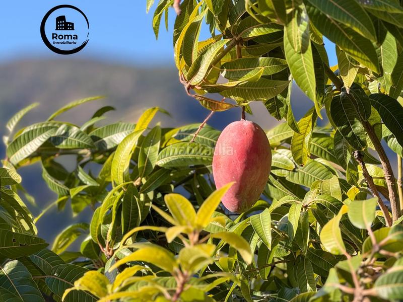 Foto a8e16760-d354-40c2-84b4-a168a74485c1. Masia a calle diseminados a Guájares (Los)