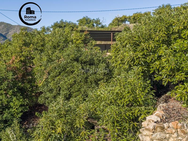 Foto bf665dd9-ba54-428f-9f3a-309a022e6f09. Masia a calle diseminados a Guájares (Los)