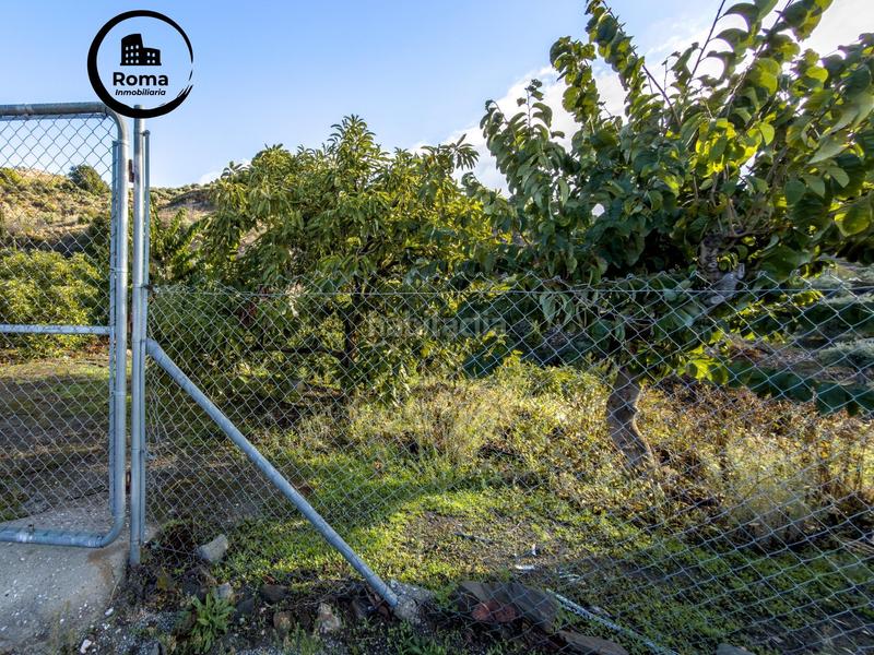 Foto ce6bc94c-62fc-41f1-8626-fde80452acee. Masia a calle diseminados a Guájares (Los)