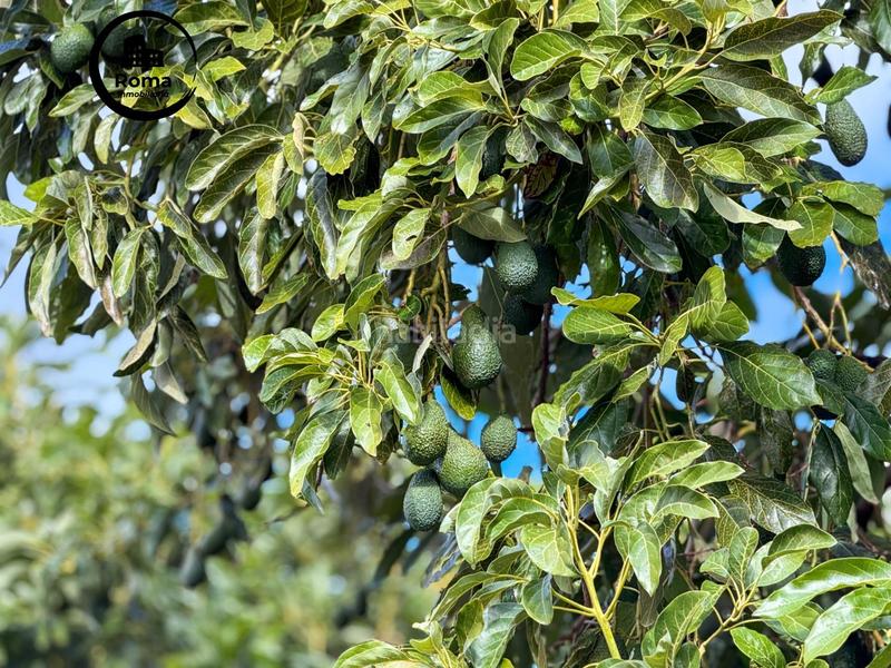 Foto 5161b5ce-cbad-4658-99d9-c9efcdacd673. Mas avec parking dans Guájares (Los)