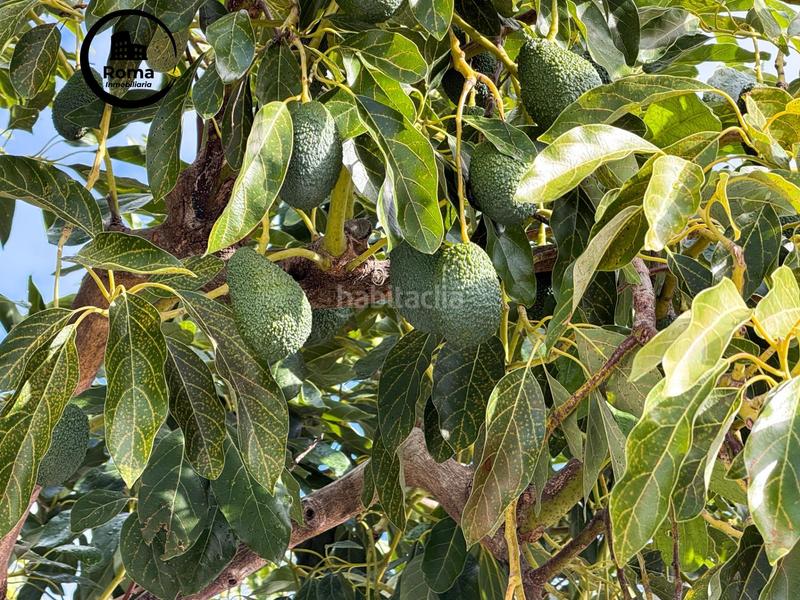 Foto 8f5443dc-146c-47d9-a006-2d031f02ee9f. Mas avec parking dans Guájares (Los)