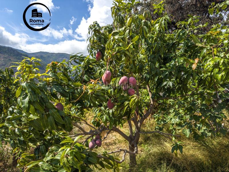 Foto ac0db0f9-40cc-4fff-beea-7cf77b41d704. Mas avec parking dans Guájares (Los)