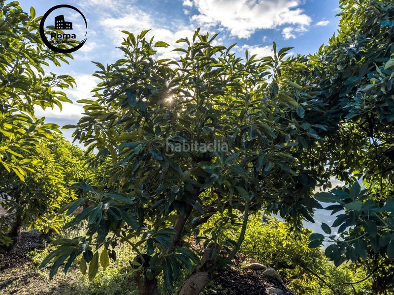 Foto e03dcc0e-c2ce-45b5-ab0a-633f7a76a9c4. Mas avec parking dans Guájares (Los)