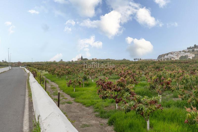 Foto 27847c64-5802-47b2-a3b6-a25bd49232e1. Terrain résidentiel dans carretera malaga (cal) 74 dans Salobreña