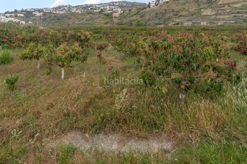 Foto 3605431f-03c7-4dec-8288-d0c010c23202. Terrain résidentiel dans carretera malaga (cal) 74 dans Salobreña