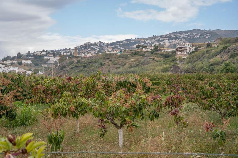 Foto 801b782d-f6a2-46f1-91a4-7d97af4f87b8. Terrain résidentiel dans carretera malaga (cal) 74 dans Salobreña