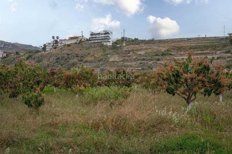 Foto fc7f283f-b449-4159-955c-d7a9c19ccf58. Terrain résidentiel dans carretera malaga (cal) 74 dans Salobreña
