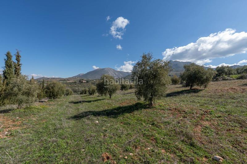 Foto 7d679422-f2ea-4bf5-b85a-23722dca77d3. Rural plot in Cogollos de la Vega