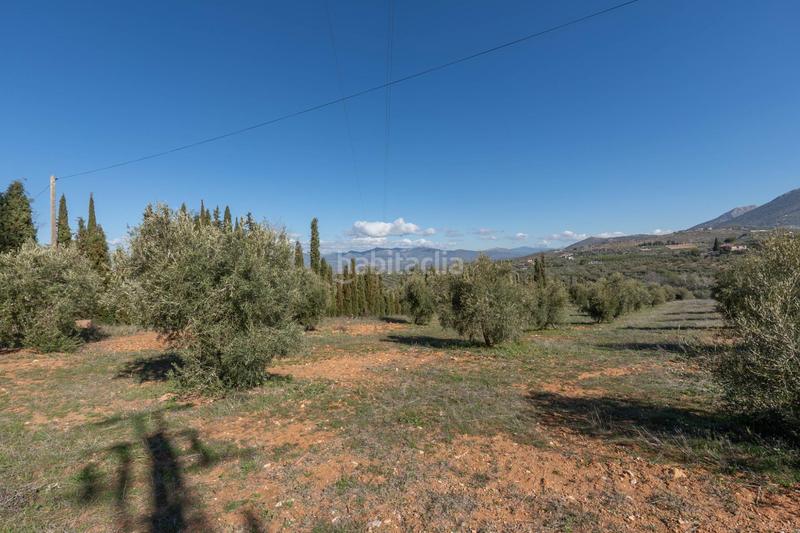 Foto ee5a17d3-b4bd-4023-84d8-bc16fd64aef2. Rural plot in Cogollos de la Vega