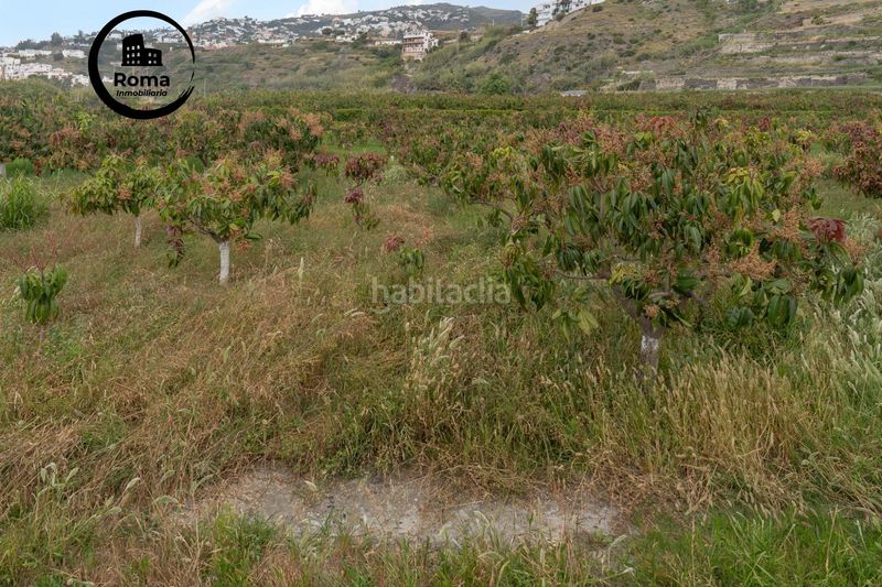 Foto 8d4d1637-bc38-46d7-9abd-afd84c9c2e88. Terreno residenziale in carretera malaga (cal) 74 in Salobreña
