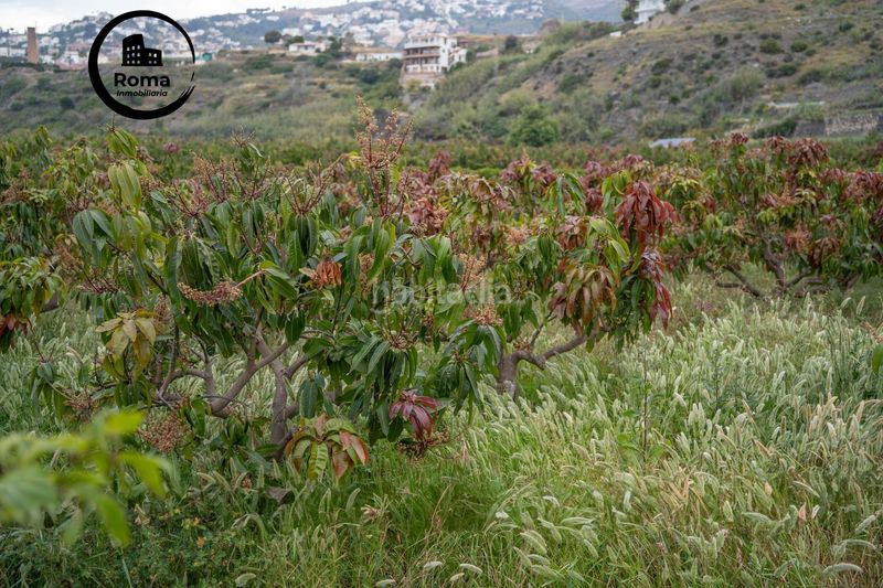 Foto ada14cdb-15eb-474f-a467-01ccc73529a9. Terreno residenziale in carretera malaga (cal) 74 in Salobreña