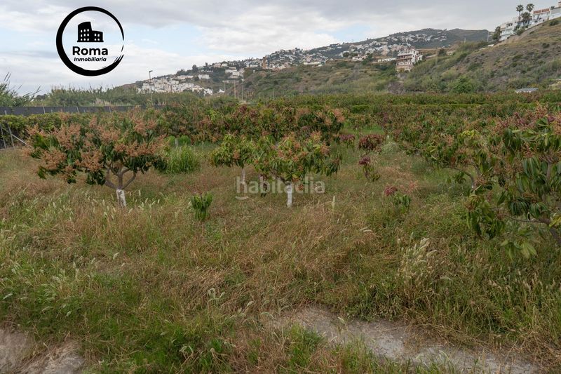 Foto d7320ade-110b-4f3c-83e8-1238ccee2cdd. Terreno residenziale in carretera malaga (cal) 74 in Salobreña