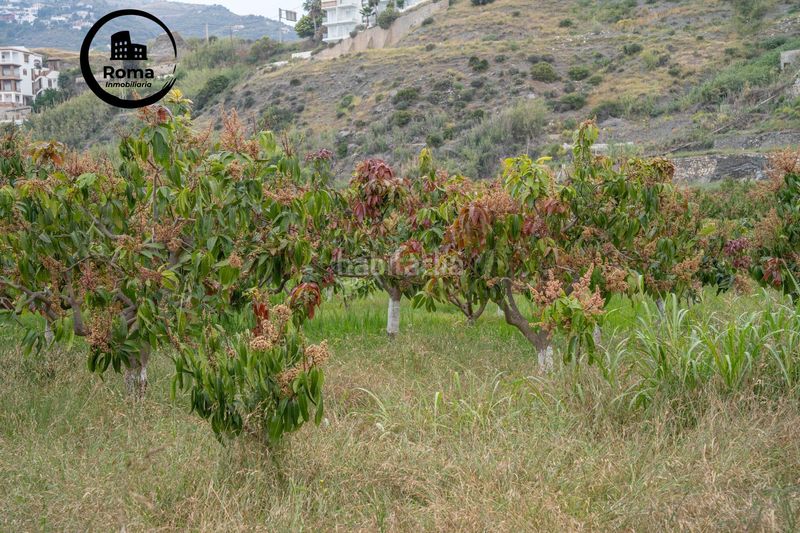 Foto de8a06fc-31fa-43e0-90f9-c1f568c2dc7a. Terreno residenziale in carretera malaga (cal) 74 in Salobreña