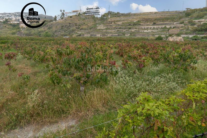 Foto e408ec15-4c0b-4583-b59e-dcfa1fdca9a3. Terreno residenziale in carretera malaga (cal) 74 in Salobreña