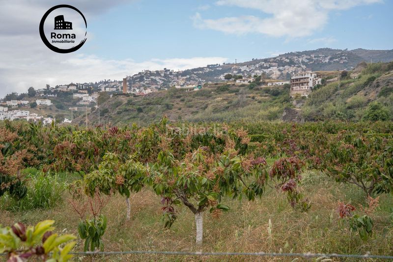 Foto fceef58b-8ba0-4c23-8c4d-fc2896e86e0a. Terreno residenziale in carretera malaga (cal) 74 in Salobreña