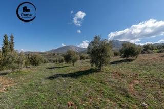 Finca rústica en Cogollos de la Vega. Terreno rústico en cogollos vega, con toma de luz y agua en la e