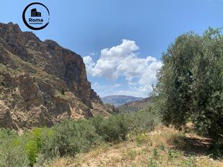 Propriété à Lanjarón. Finca rustica  lanjaron