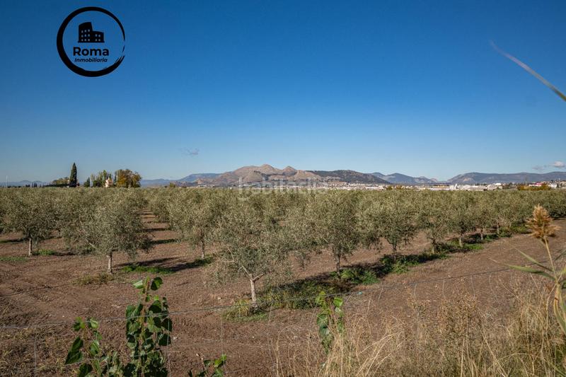 Foto a5c616fe-2dcb-4e2e-a13e-13e5897bce74. Piso tu nuevo hogar te espera! en Maracena